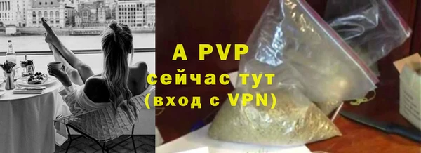 соль курить ск Ладушкин