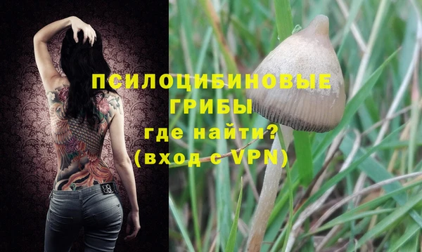 дживик Армянск